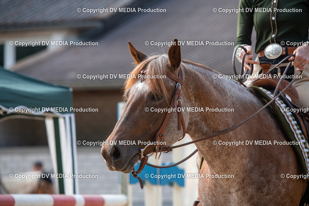 EWP_5742 | dv-media-shop - Realisiert mit Pictrs.com