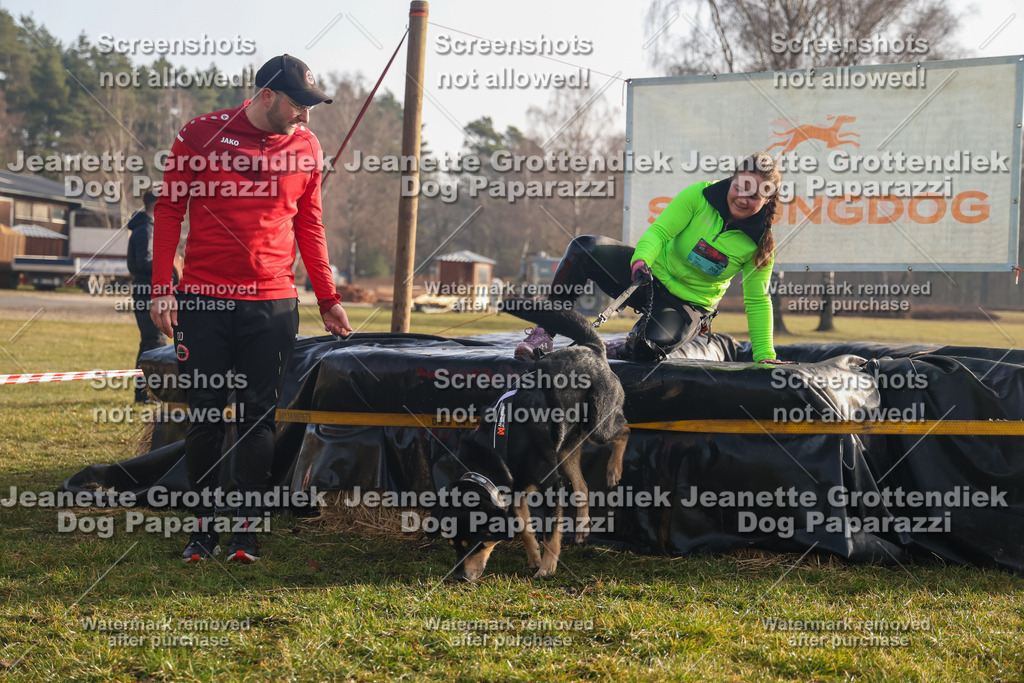 Dog Paparazzi - SD North 0326 900930-256 | Dog Paparazzi Jeanette Grottendiek Fotografie & Videografie - Realisiert mit Pictrs.com