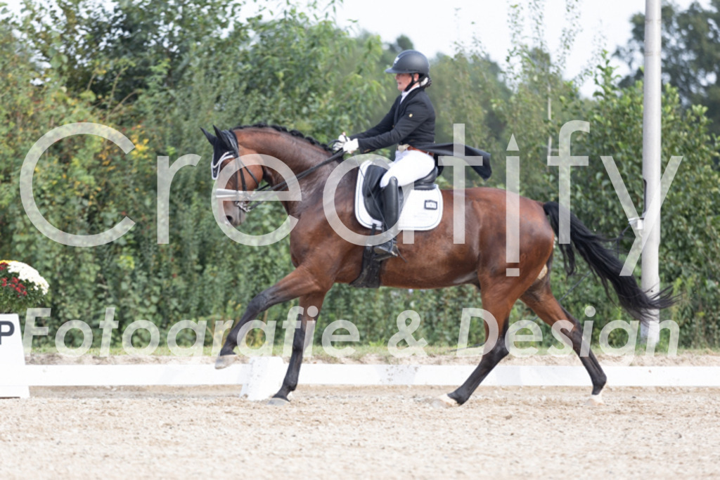 IMG_4602 | Creatify Fotografie