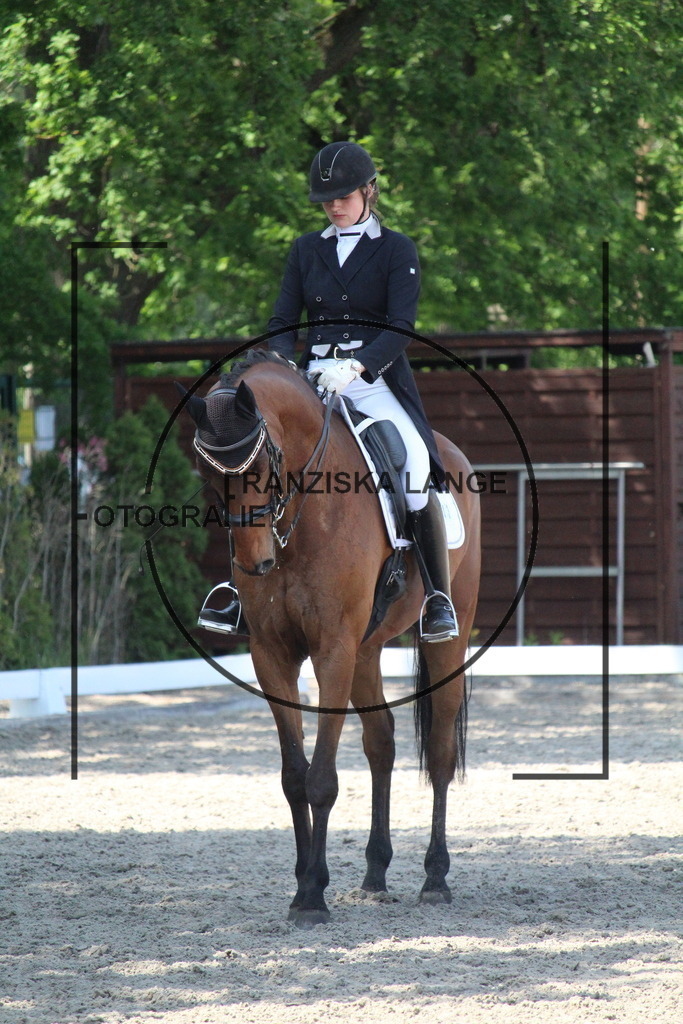 IMG_4879 | franziskalange - Realisiert mit Pictrs.com