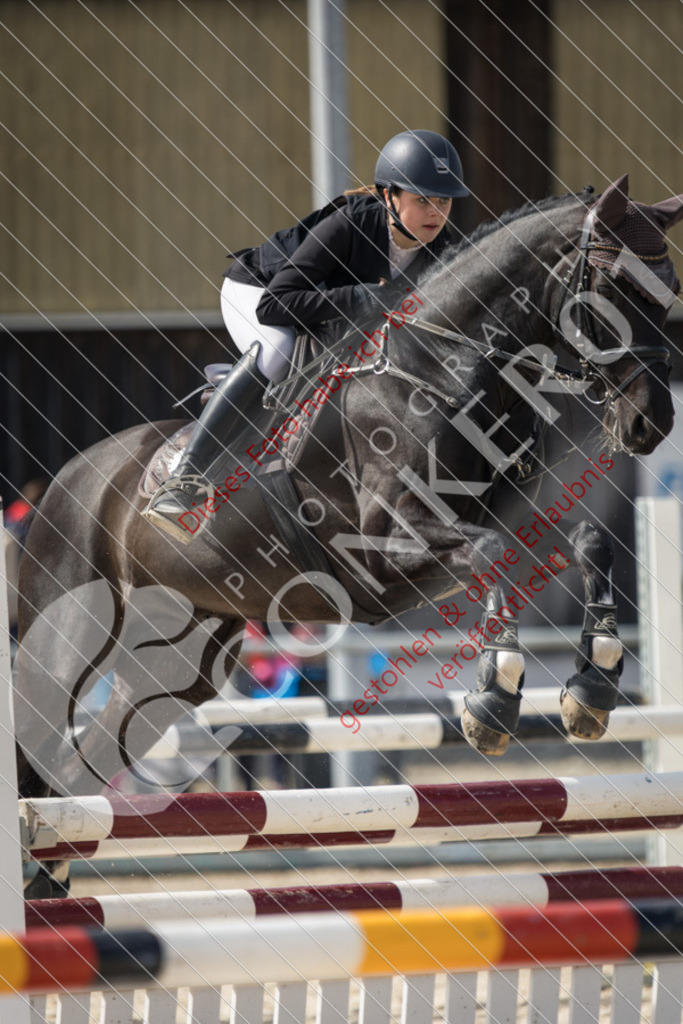 IMG_4329 | Sport-, Event- und Tierfotos in Profiqualität. Einfach auswählen, bestellen und herunterladen. Dein Moment – perfekt festgehalten.