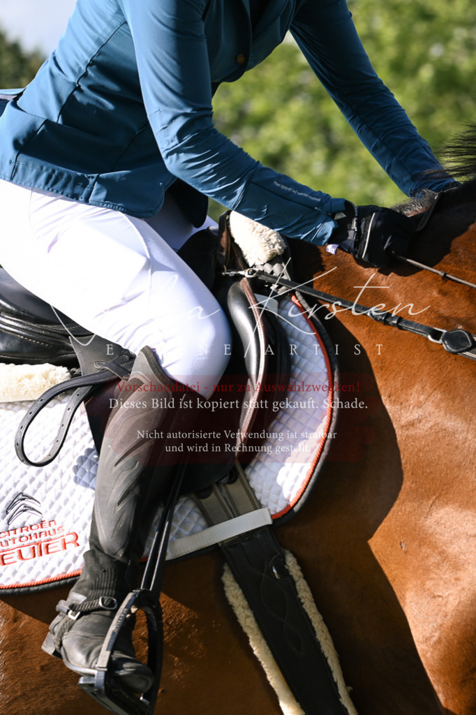 DSC_1151 | Pferde- und Turnierfotografie in Westsachsen. Pferdeportraits, Auftragszeichnungen und intuitive Kunst.