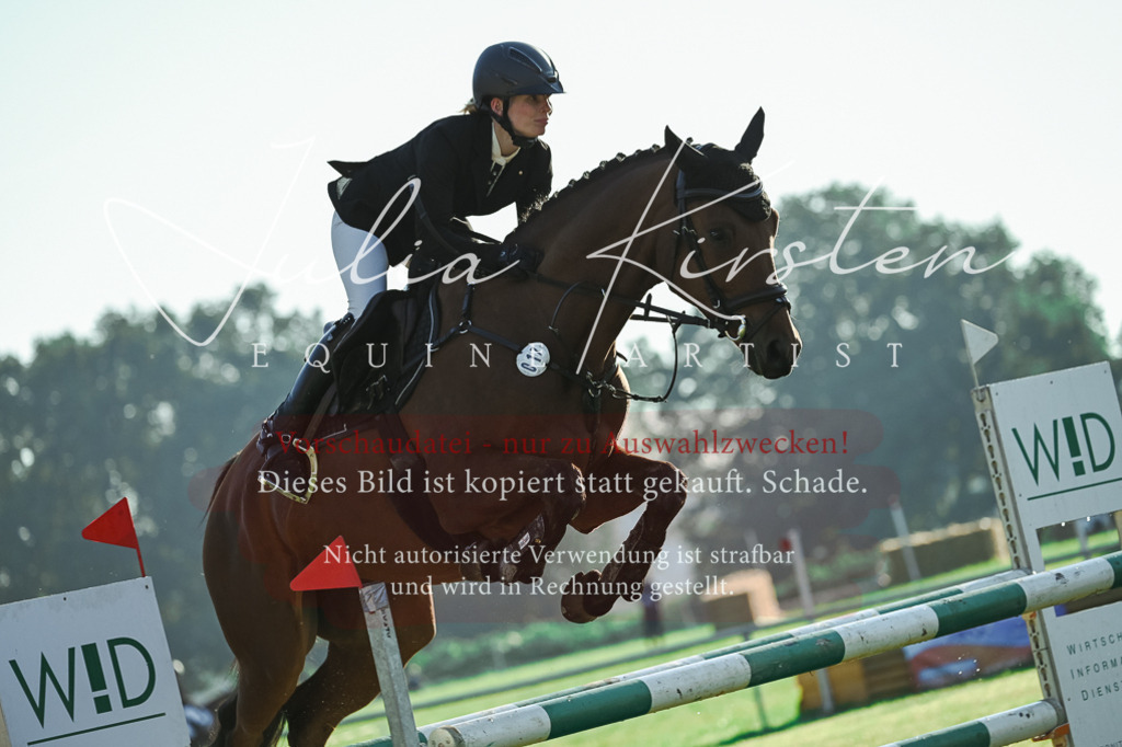DSC_4314 | Pferde- und Turnierfotografie in Westsachsen. Pferdeportraits, Auftragszeichnungen und intuitive Kunst.