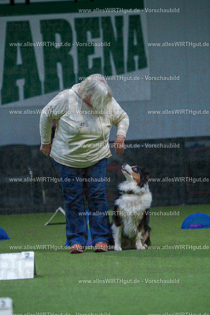 7R501423 | Professionelle Tierfotografie in Mönchengladbach von Daniel Wirth (allesWIRTHgut). Liebevolle & natürliche Bilder von Hunden & Katzen für unvergessliche Erinnerungen.