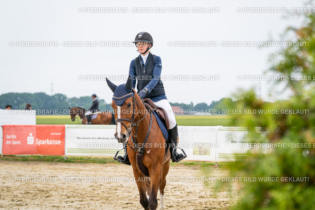 DSC09835 | Pferdegrafie