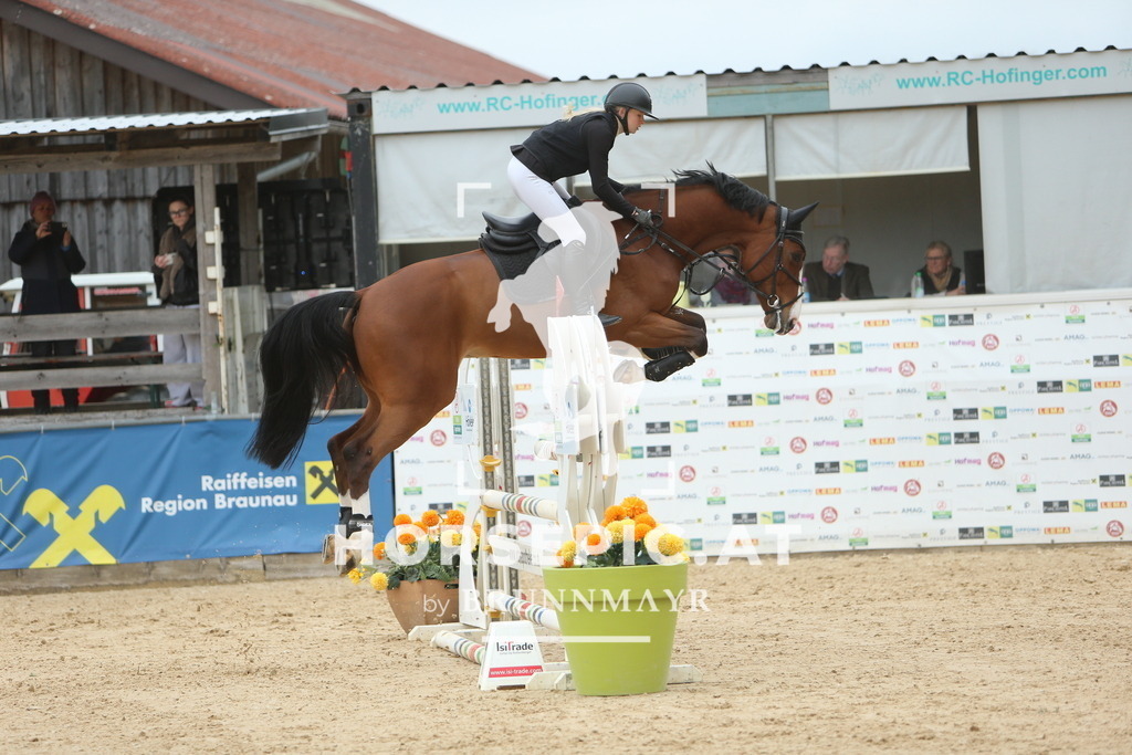 DL2Q7026 | Willkommen bei Brunnmayr - Design & Fotografie – Ihrem Spezialisten für Reitturniere und Pferdeveranstaltungen in Oberösterreich, Salzburg und Bayern! Seit über 17 Jahren sind wir leidenschaftlich dabei.