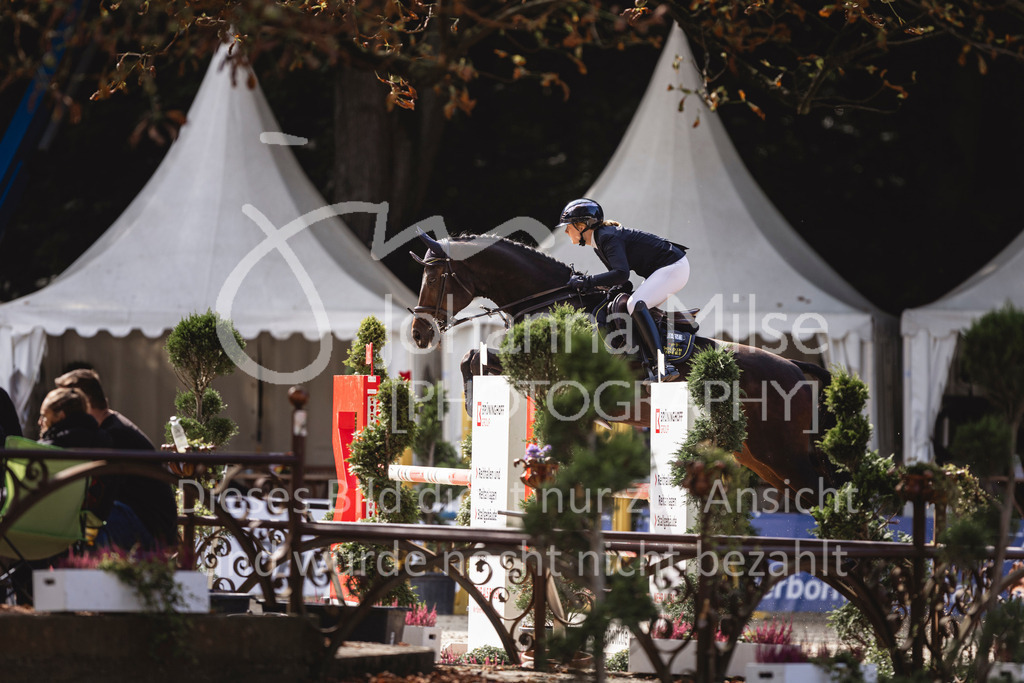 240914_OWLCh_AmateurM-539 | Deine schönsten Turniermomente als professionelle Fotos! Entdecke hochwertige Pferdesport-Fotografie im Online-Shop. Jetzt Fotos finden & bestellen!