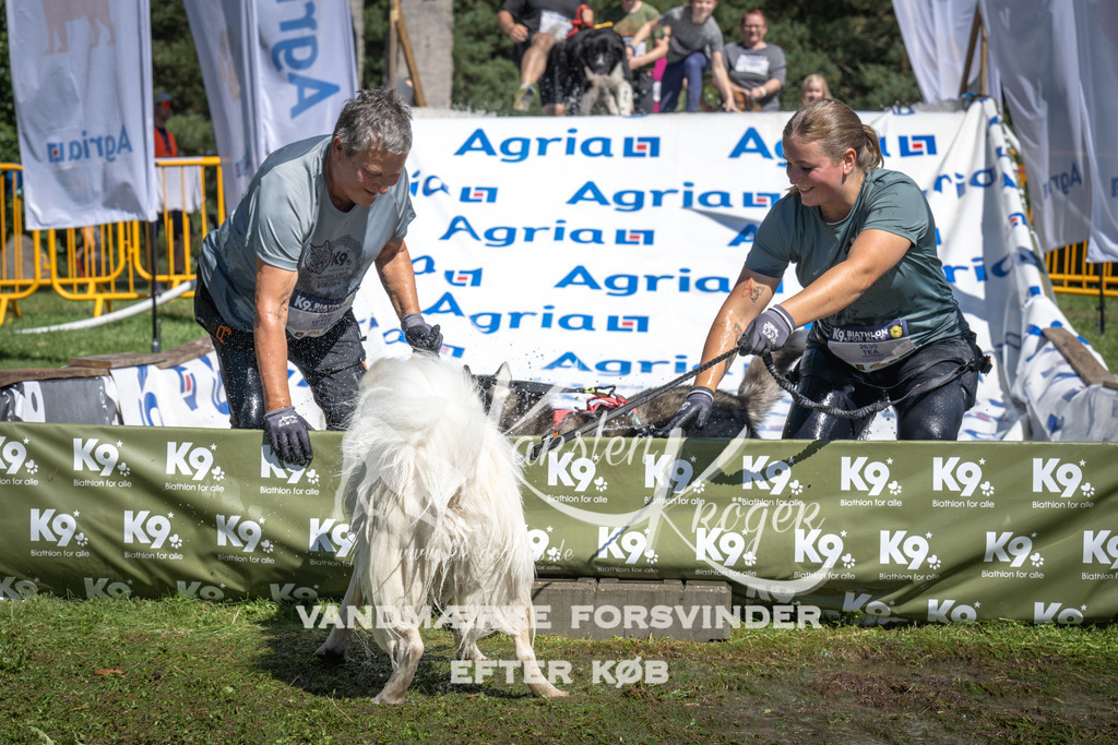 1317_ZZ99506 | kk-dogfotos
