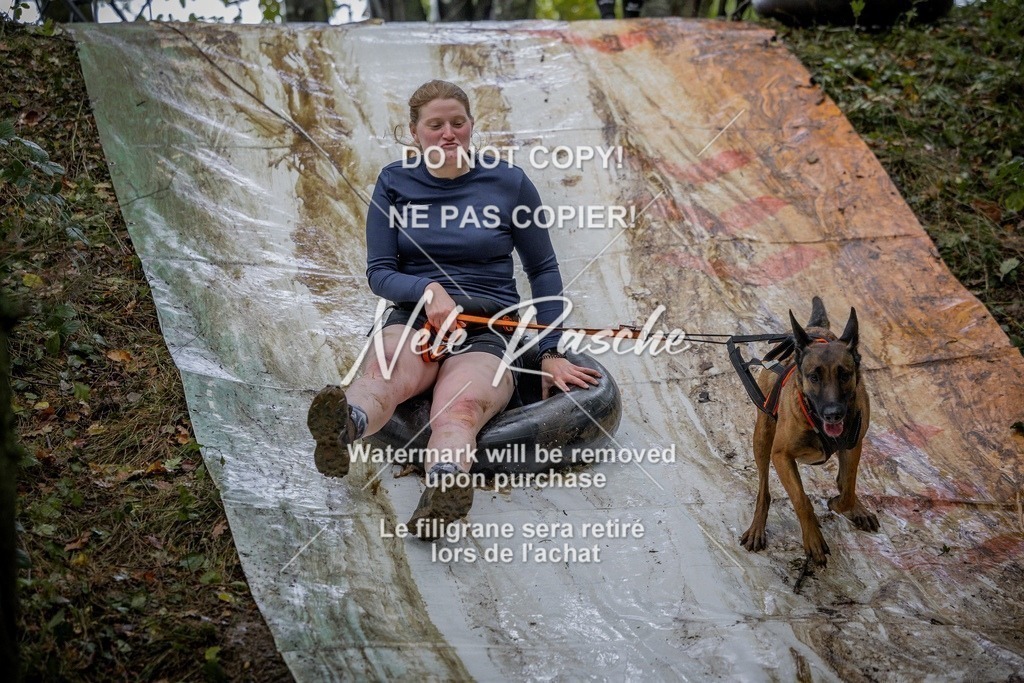 nelerasche_Hunsrück_Sa1430-1500_87-final | nelerasche