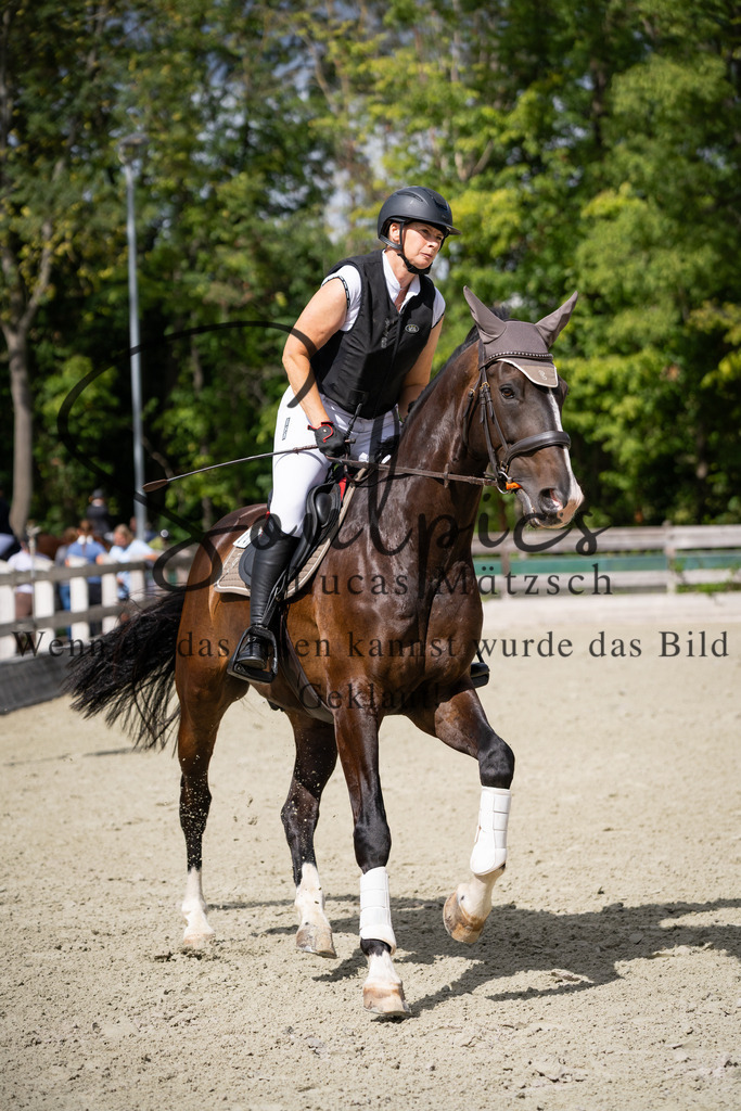 A7V07343 | Turnier/Reitfotograf