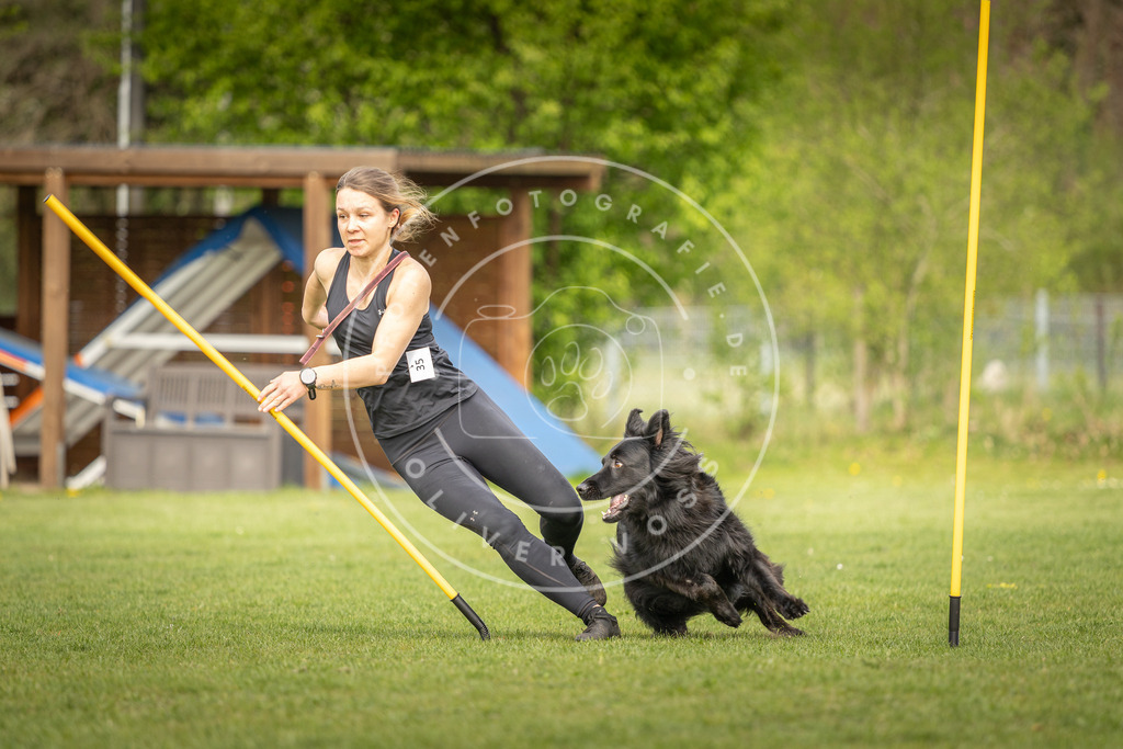 Pfotenfotografie_DV3A5046 | Hundefotografie, Tierfotograf, Pfotenfotografie, Fotoshooting Hund, Hunde Portrait, Hundesport, Hundeportraits, Heideshooting, Hunde, Sportfotograf, Hundefotograf, Turnierhundsport, THS,  - Realisiert mit Pictrs.com