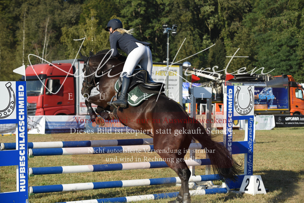 DSC_4949 | Pferde- und Turnierfotografie in Westsachsen. Pferdeportraits, Auftragszeichnungen und intuitive Kunst.