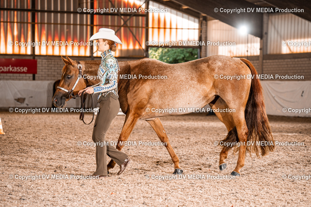 ZH100199 | dv-media-shop - Realisiert mit Pictrs.com