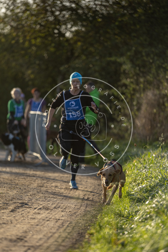Pfotenfotografie.de_DV3A2556 | Hundefotografie, Tierfotograf, Pfotenfotografie, Fotoshooting Hund, Hunde Portrait, Hundesport, Hundeportraits, Heideshooting, Hunde, Sportfotograf, Hundefotograf, Turnierhundsport, THS, canicross - Realisiert mit Pictrs.com