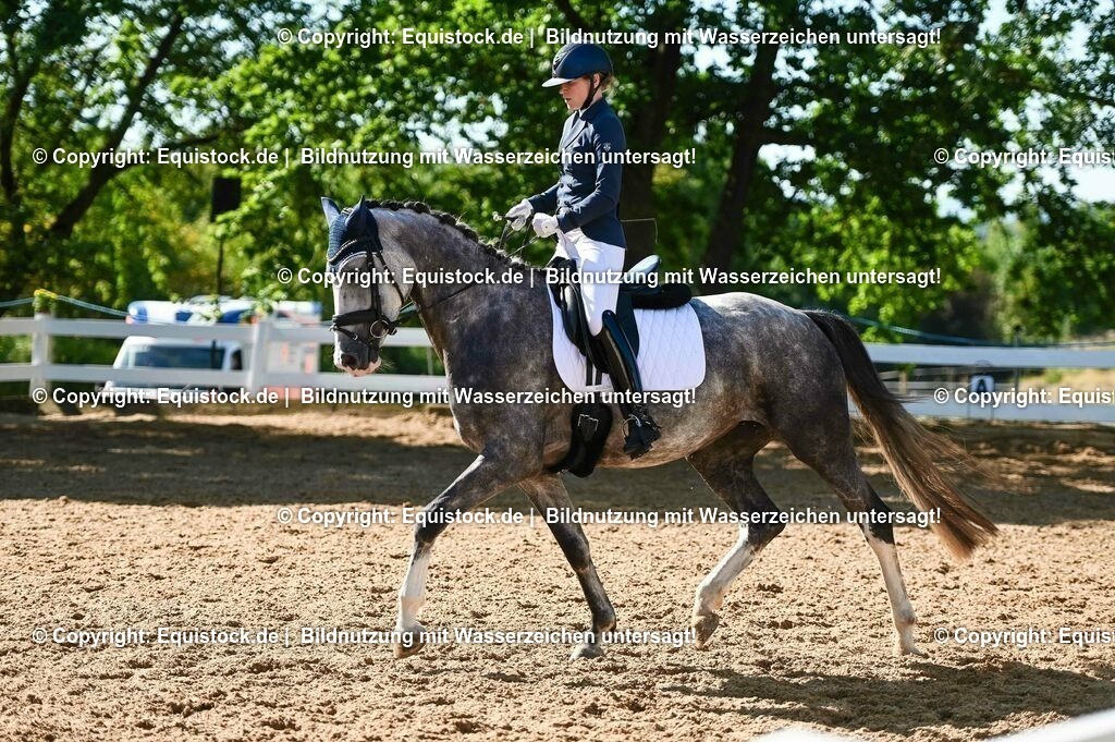 20230715_06_Dressurpferdeprfg. Kl.A_0311 | equistock