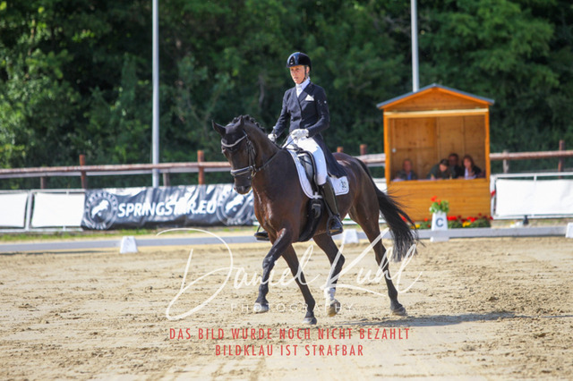 DKP46471 | Turniersportfotografie; Pferdefotografie; Dressurfotografie