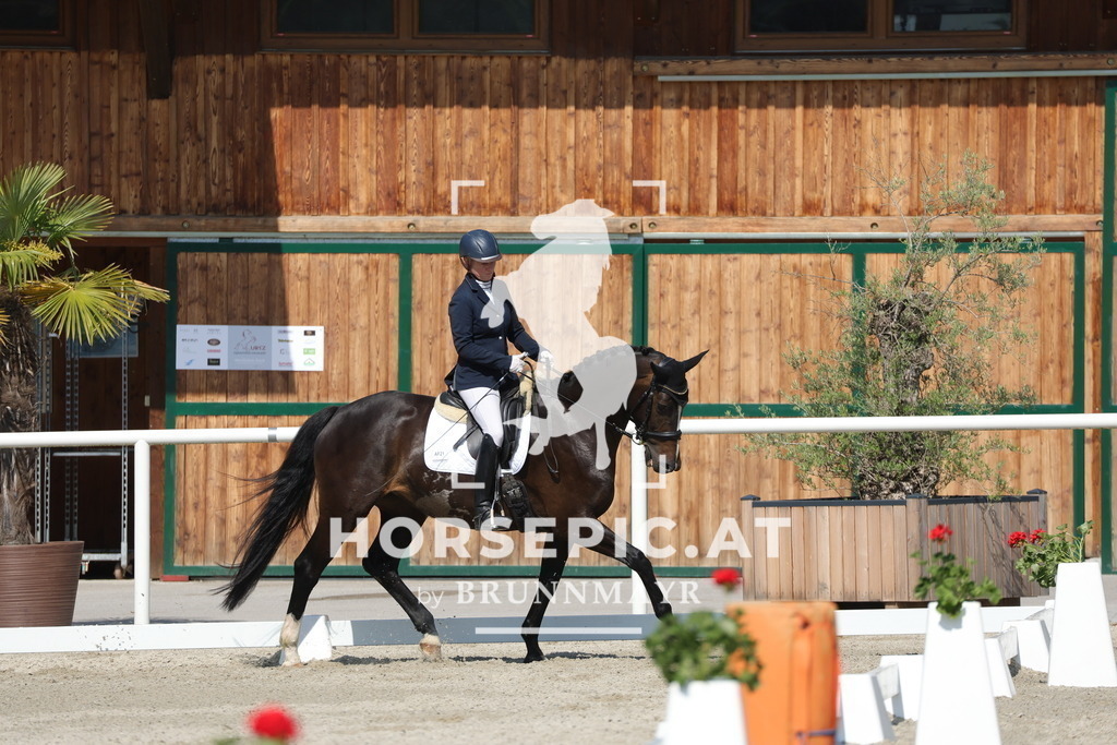 0P6A0374 | Willkommen bei Brunnmayr - Design & Fotografie – Ihrem Spezialisten für Reitturniere und Pferdeveranstaltungen in Oberösterreich, Salzburg und Bayern! Seit über 17 Jahren sind wir leidenschaftlich dabei.