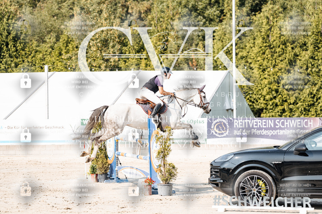 CK902551 | Turnierfotografie Pferdefotografie Trier Rheinland-Pfalz Pferdesport Reitsport Tierfotografie Sportfotografie Pferdevideo Pferdevideografie Equestrianvideography equestrianphotography  - Realisiert mit Pictrs.com
