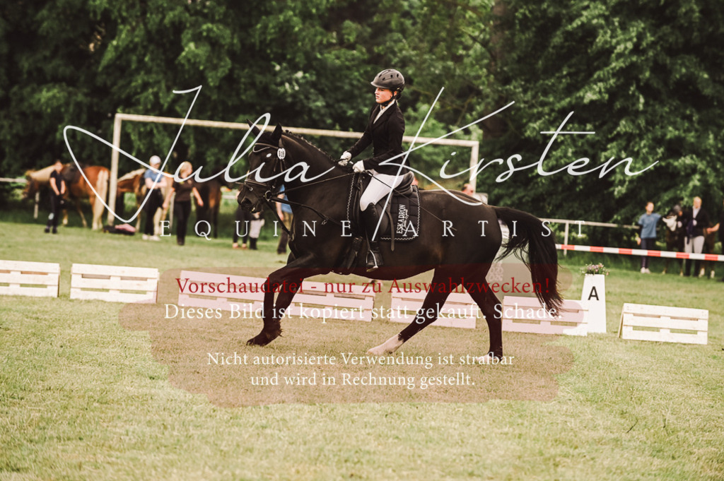 DSC_5107 | Pferde- und Turnierfotografie in Westsachsen. Pferdeportraits, Auftragszeichnungen und intuitive Kunst.