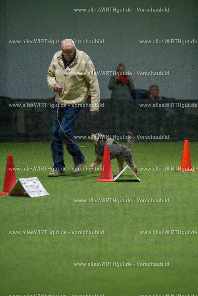 7R505719 | Professionelle Tierfotografie in Mönchengladbach von Daniel Wirth (allesWIRTHgut). Liebevolle & natürliche Bilder von Hunden & Katzen für unvergessliche Erinnerungen.