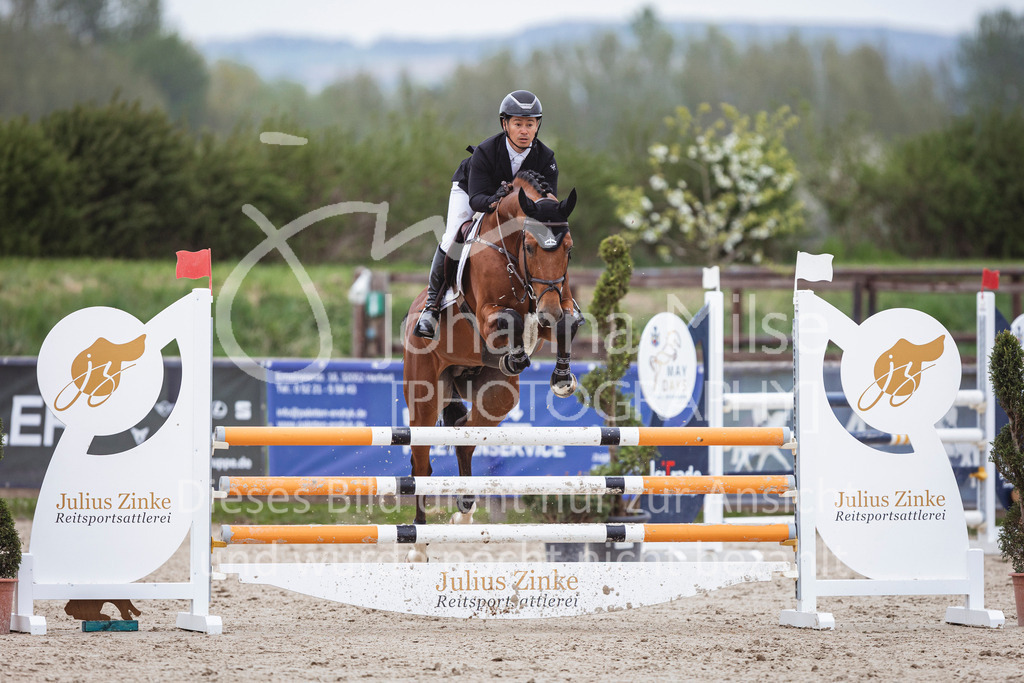 250417_Springpferde-L1-284 | Deine schönsten Turniermomente als professionelle Fotos! Entdecke hochwertige Pferdesport-Fotografie im Online-Shop. Jetzt Fotos finden & bestellen!