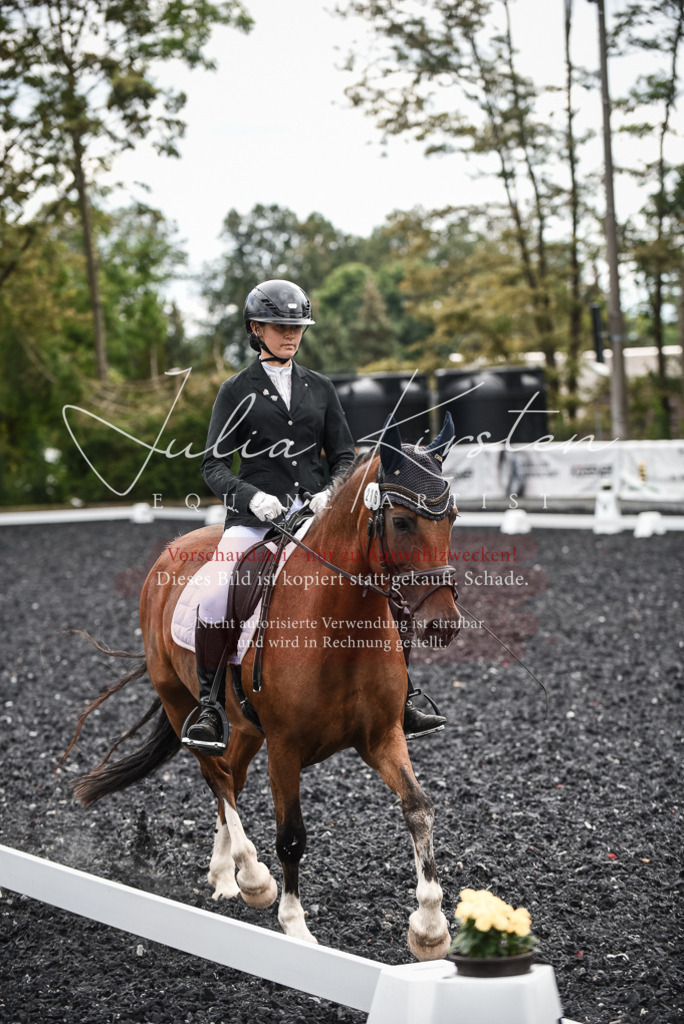 DSC_4471 | Pferde- und Turnierfotografie in Westsachsen. Pferdeportraits, Auftragszeichnungen und intuitive Kunst.