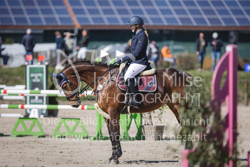 220416_4_L-Stil2-561 | Frühlingsfest der Pferde
Herford
16.April 2022
04/2 Stilspringprüfung Kl.L geschlossen 79-481 RLP