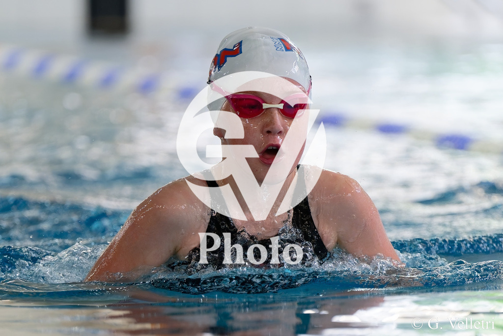 DSC_5032 | Velletri Photo