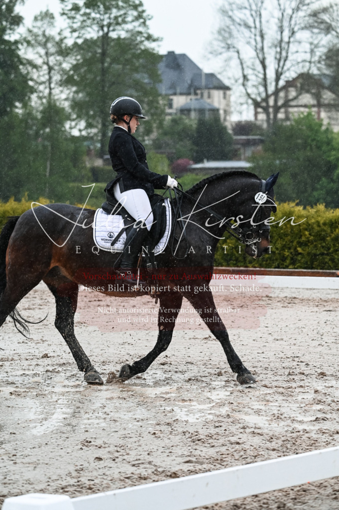 DSC_4647 | Pferde- und Turnierfotografie in Westsachsen. Pferdeportraits, Auftragszeichnungen und intuitive Kunst.