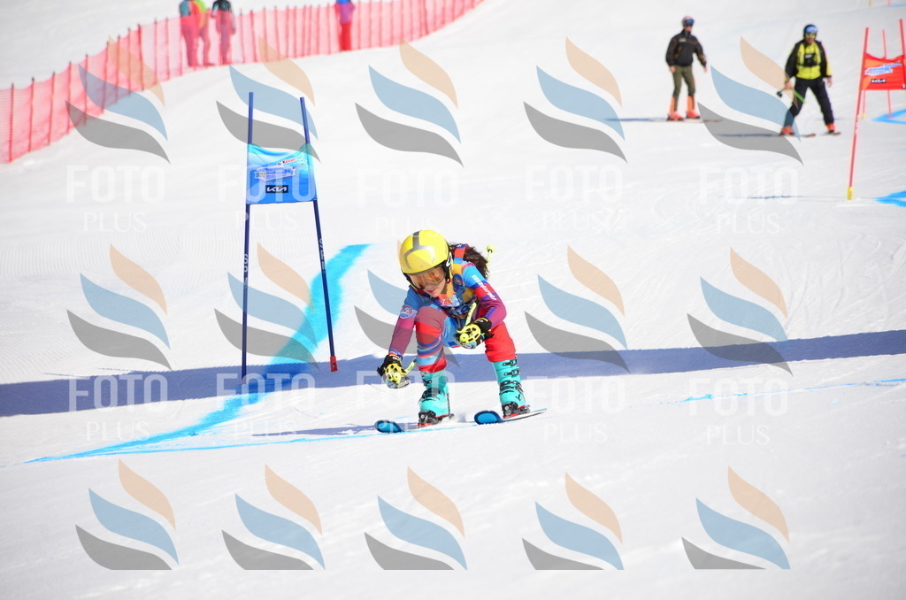 VR4_8644 | holidayphoto