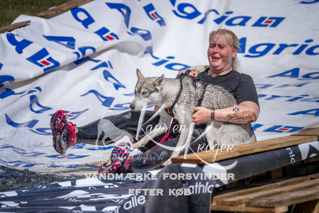 _ZZ935130940 | kk-dogfotos