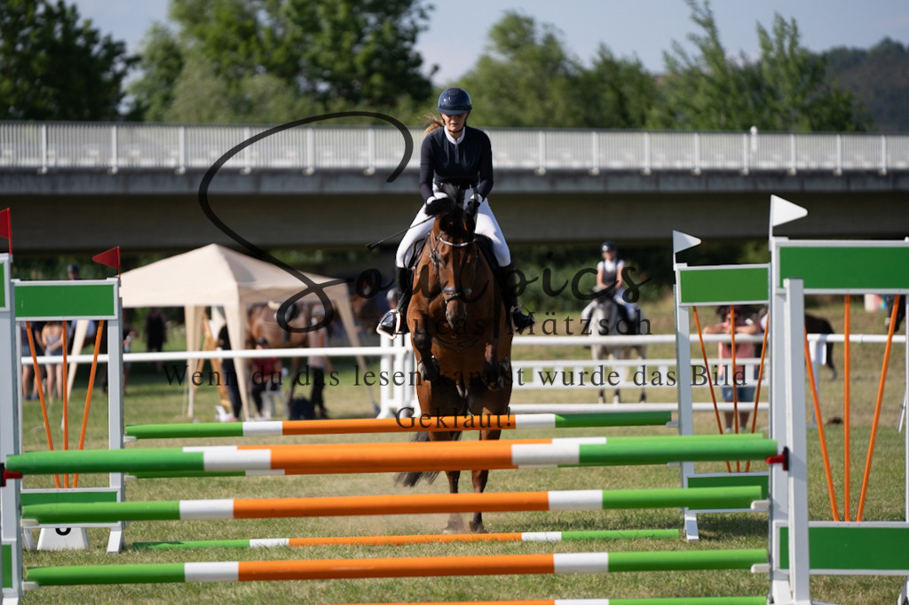 A7V00697 | Pferdefotograf