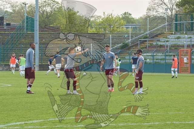 BFC Dynamo vs. FC Eilenburg  001 | mythos-online-redaktion