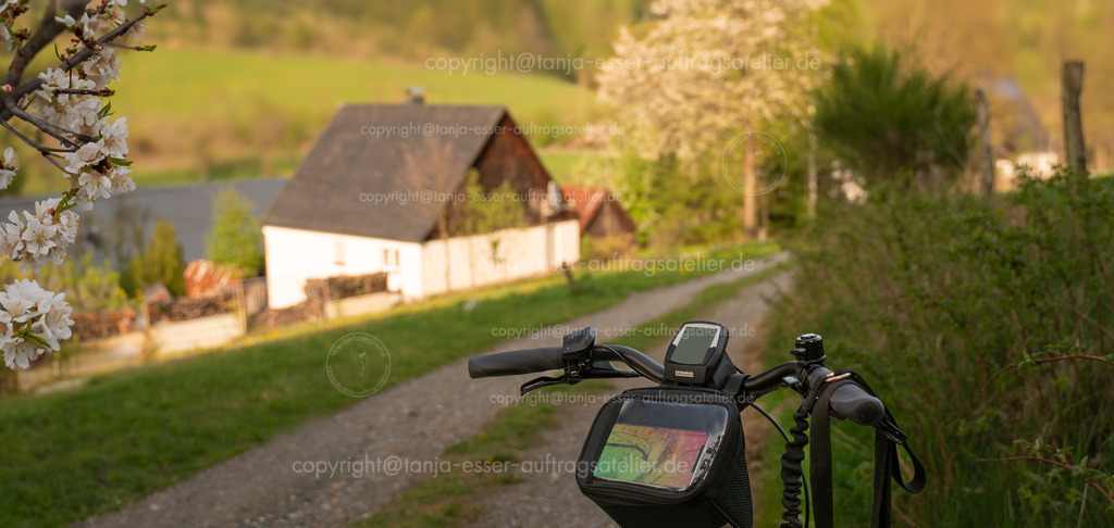 Navigation auf dem E Bike in kleinem sonnigen Dorf | Elektro Fahrrad steht in dörflich idyllischer Umgebung. Kirschbäume blühen, Sonne geht unter. Am Lenker sieht man das Display und eine Handynavigation.