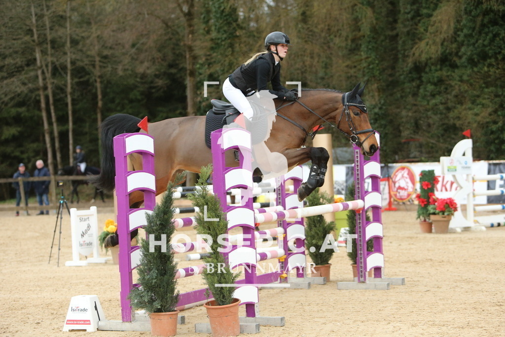 DL2Q3061 | Willkommen bei Brunnmayr - Design & Fotografie – Ihrem Spezialisten für Reitturniere und Pferdeveranstaltungen in Oberösterreich, Salzburg und Bayern! Seit über 17 Jahren sind wir leidenschaftlich dabei.