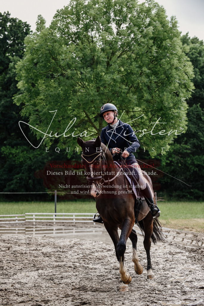 DSC_0063 | Pferde- und Turnierfotografie in Westsachsen. Pferdeportraits, Auftragszeichnungen und intuitive Kunst.