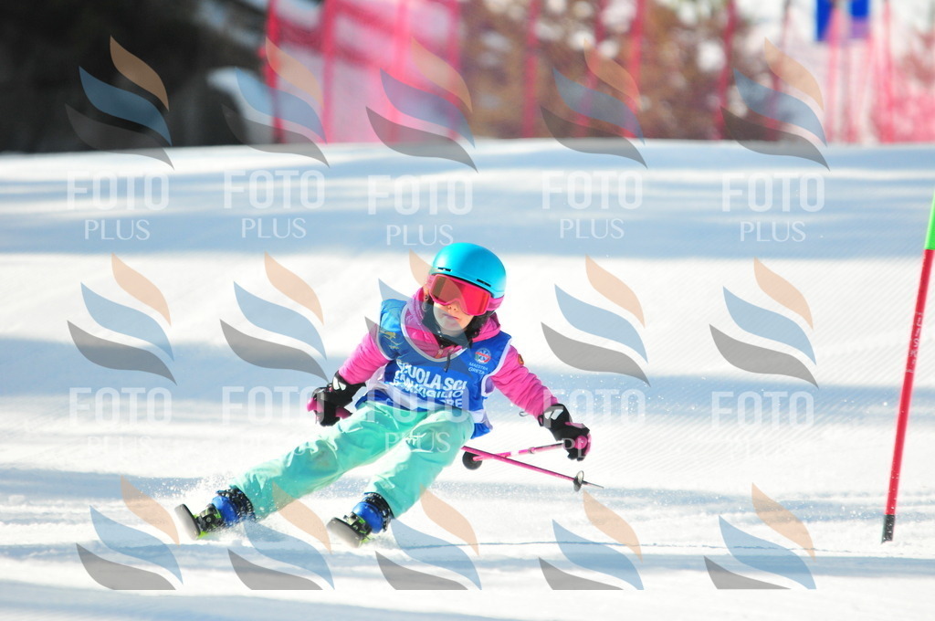 B8911 | holidayphoto