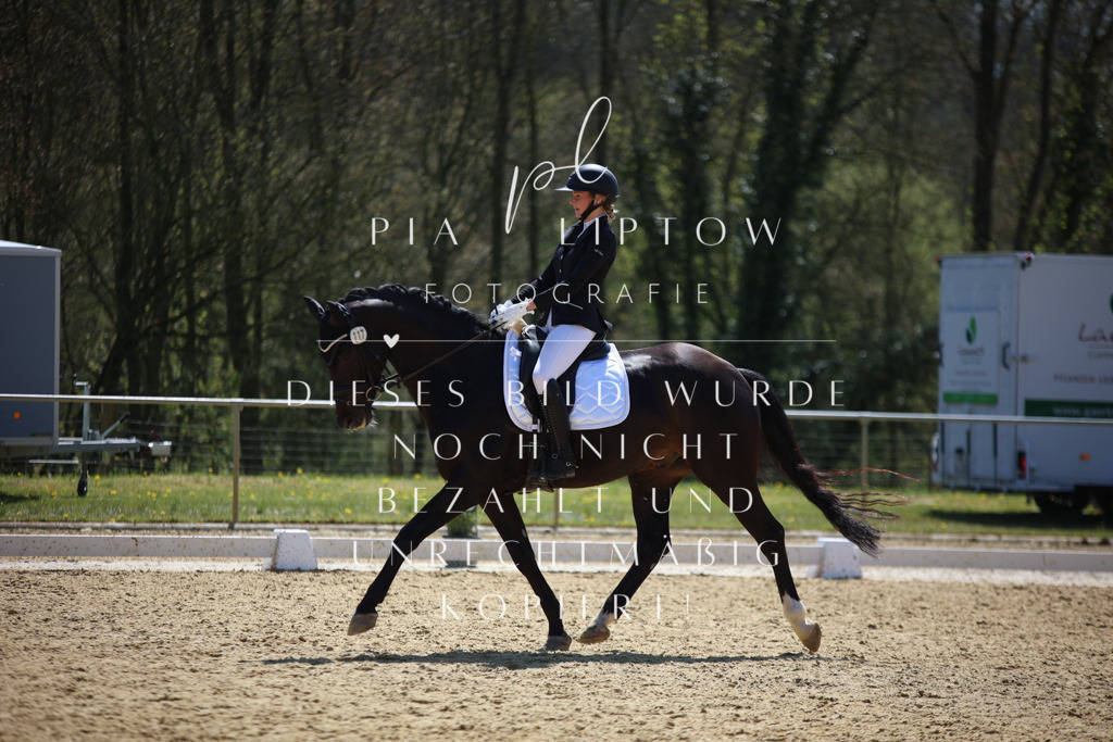 IMGT2142 | pl-fotografie