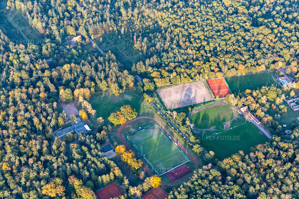 Luftbild: Sportplätze im Hardtwald des Karlsruher Turnverein 1846, des DJK Karlsruhe Ost 1912 und des FC Fackel Karlsruhe eV im Ortsteil Oststadt in Karlsruhe im Bundesland Baden-Württemberg in Deutschland. Foto: IMG_123416.jpg vom 19.10.2020 durch Werner Riehm/FLY-FOTO.de