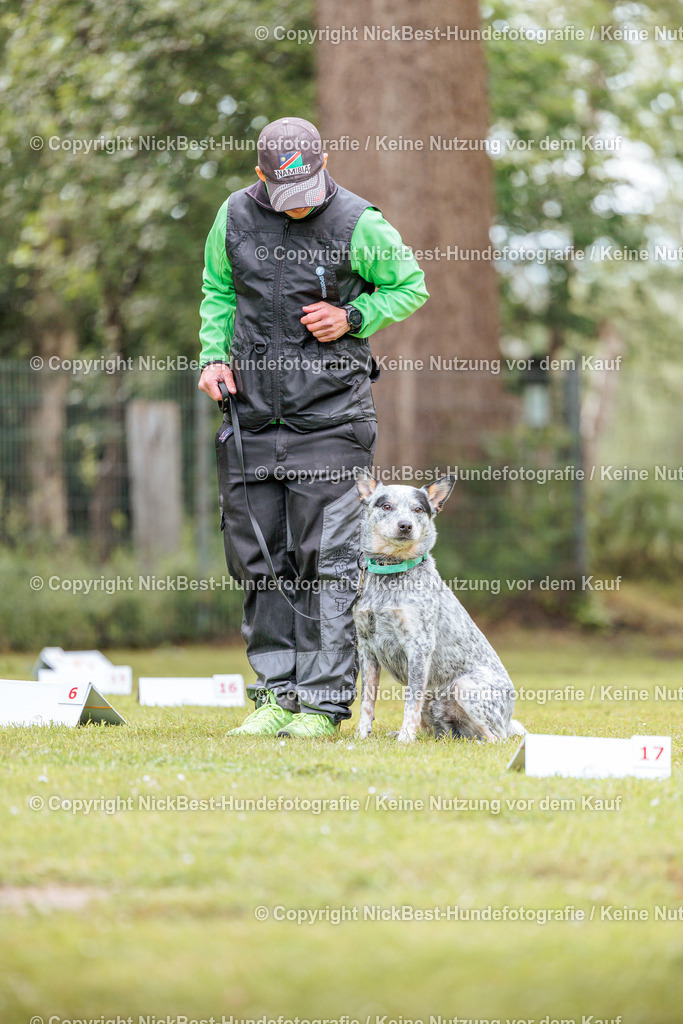 RO-Blumenthal-2026-Nickbest-Hundefotografie-5366 | Dein Hund! Dein Moment! Deine Erinnerungen! Hundefotografie in Bremen Blumenthal. Ich fange die besonderen Momente deines Vierbeiners ein – ob Indoor mit Blitzanlage oder in der freien Natur. Sicher dir dein Moment und dein Termin für eure Erinnerungen.
