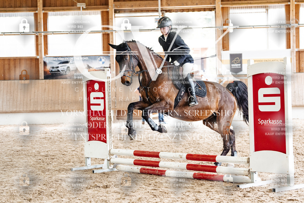 CK902630 | Turnierfotografie Pferdefotografie Trier Rheinland-Pfalz Pferdesport Reitsport Tierfotografie Sportfotografie Pferdevideo Pferdevideografie Equestrianvideography equestrianphotography  - Realisiert mit Pictrs.com