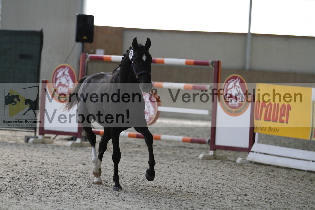 _MG_9318 | equestrian-live-com