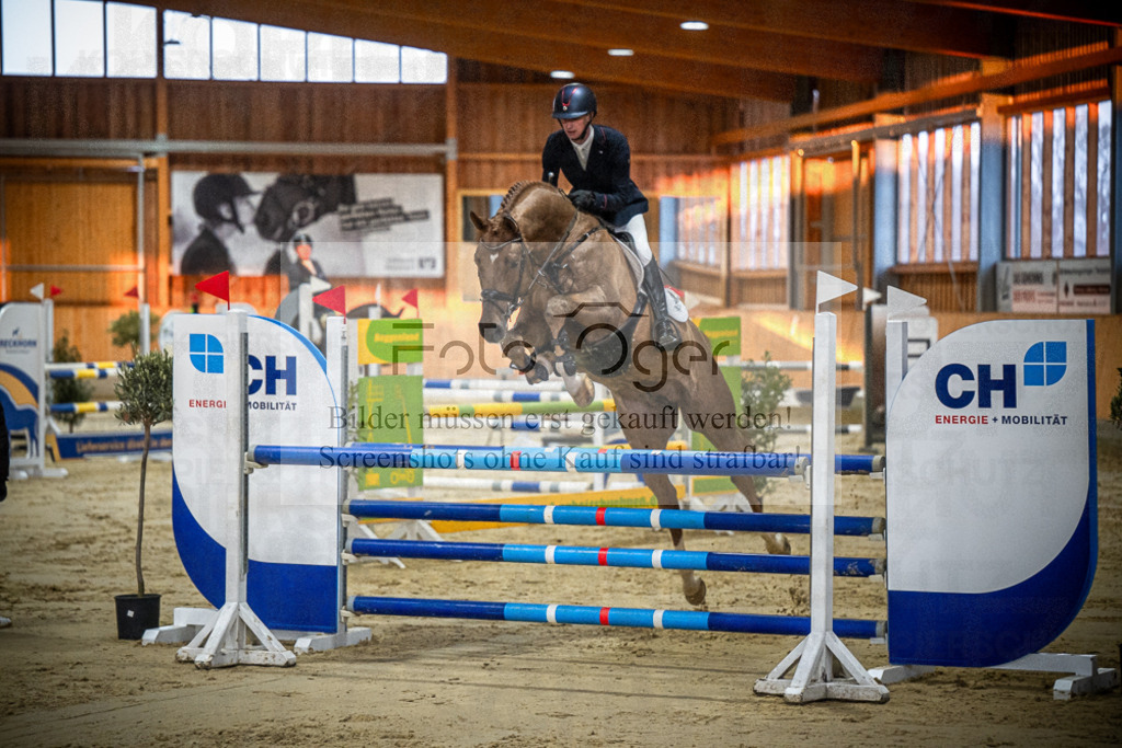 DOS_0199 | Entdecke hochwertige Reitturnierfotos von Foto Oger. Professionell, emotional und authentisch – jetzt Lieblingsmomente im Shop bestellen.Deutschlandweite Turnierfotografie. - Realisiert mit Pictrs.com