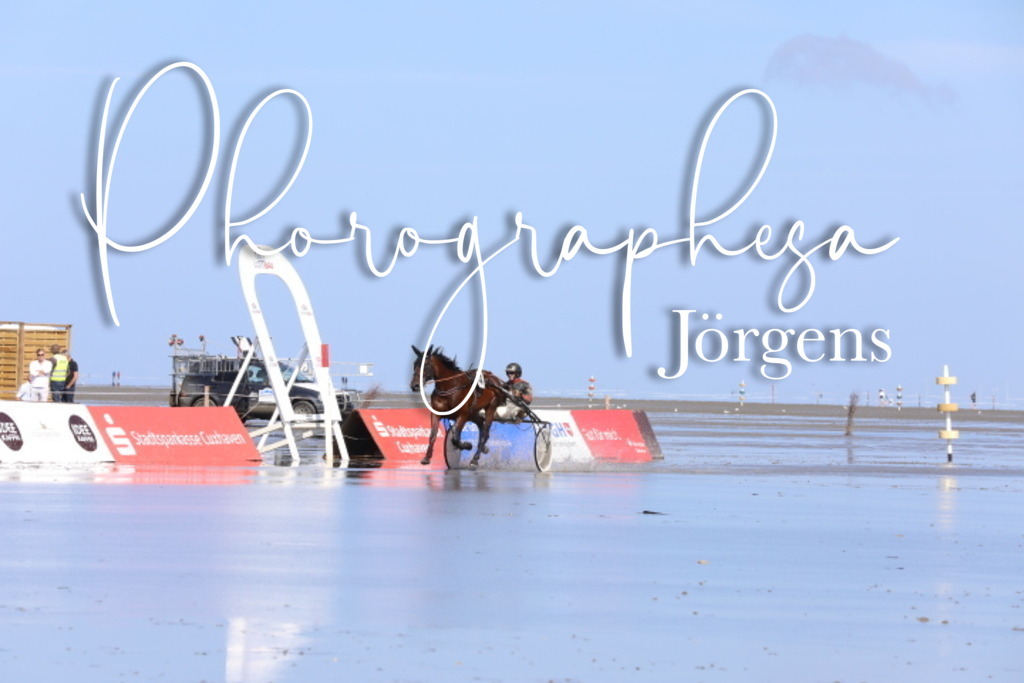 IMG_9500 | photographesa-joergens - Realisiert mit Pictrs.com