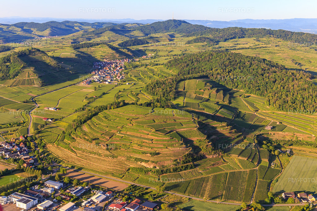 Luftbild: Weinberge am Kaiserstuhl von Westen im Ortsteil Achkarren in Vogtsburg im Bundesland Baden-Württemberg in Deutschland. Foto: IMG_147861.jpg vom 30.05.2025 durch Werner Riehm/FLY-FOTO.de