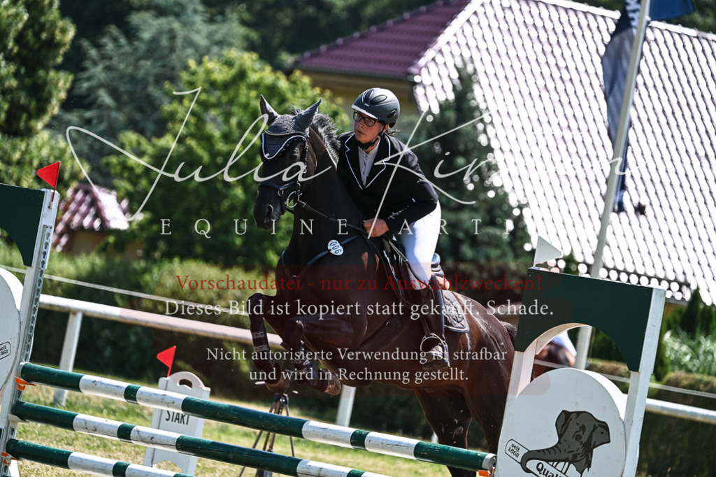 DSC_0199 | Pferde- und Turnierfotografie in Westsachsen. Pferdeportraits, Auftragszeichnungen und intuitive Kunst.