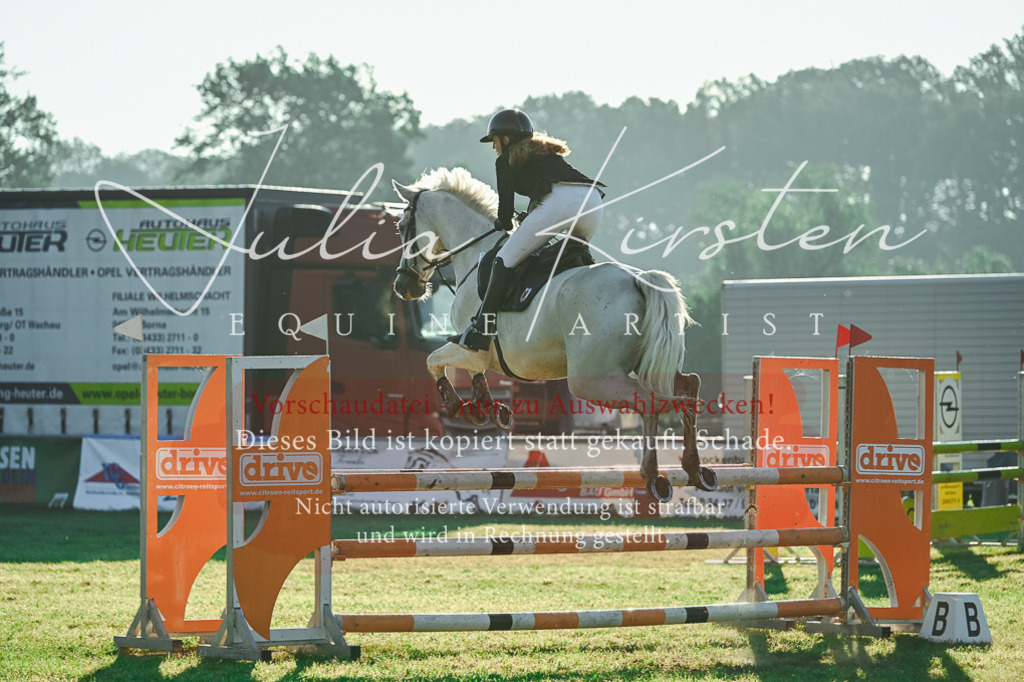 DSC_4054 | Pferde- und Turnierfotografie in Westsachsen. Pferdeportraits, Auftragszeichnungen und intuitive Kunst.