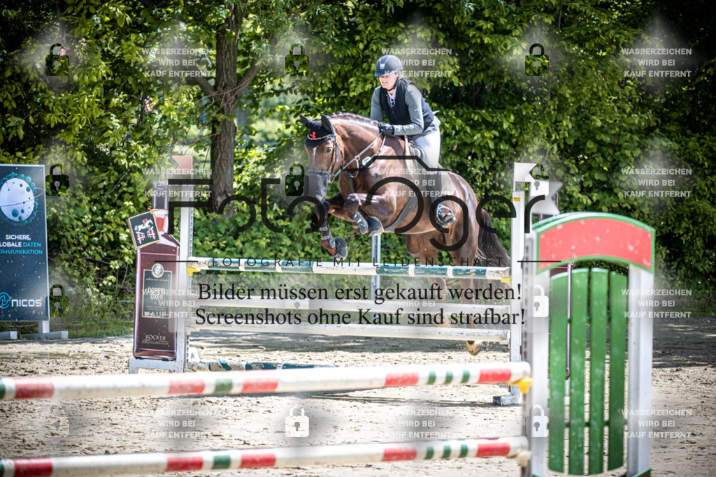DOS_1541 | Reitturnier Lüdinghausen - Realisiert mit Pictrs.com