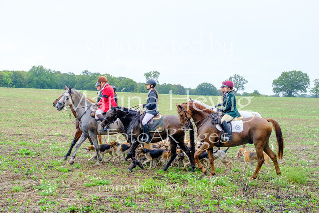 Jagd Perdoel 26 Fuji-9778_MarinaHewig | Fotografie, FotoArt, PferdesportArt, Pferdesportfotografie, Landschaftsfotografie, Reisefotografie, Reise, Pferde - Realisiert mit Pictrs.com