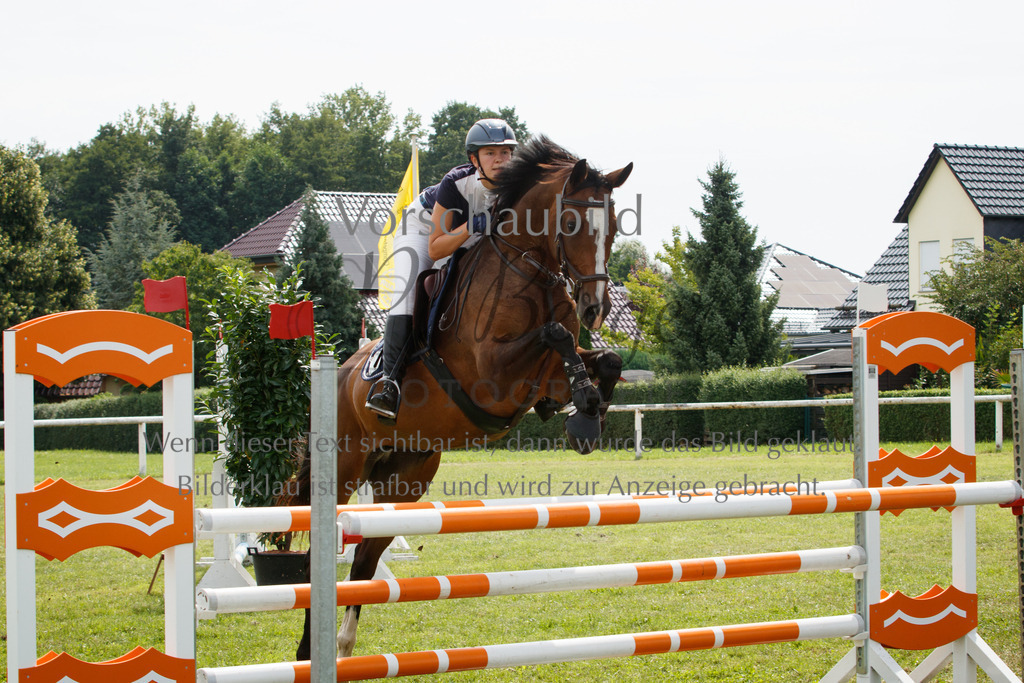 IMG_3201 | P. Berger Fotografie - Realisiert mit Pictrs.com